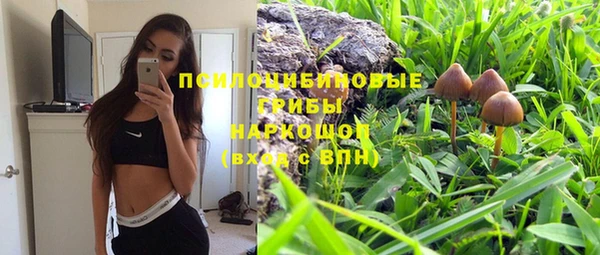 mdpv Нязепетровск