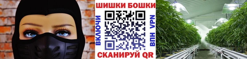 Шишки марихуана VHQ  где найти наркотики  Никольск 